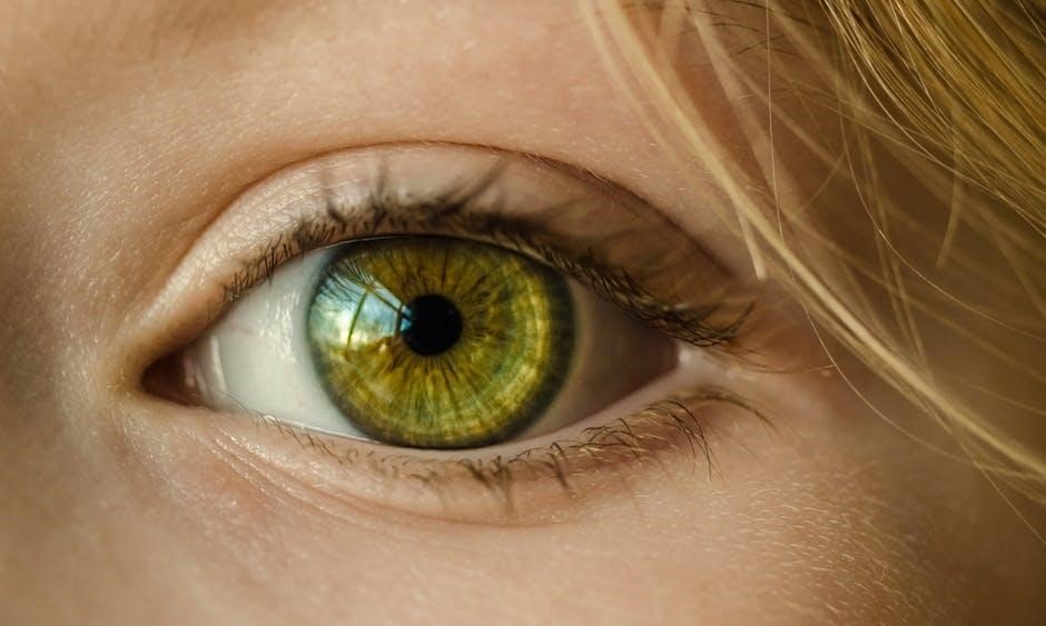 scleral lenses for round eye