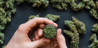 cannabis benefits